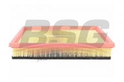 BSG 65135016 Hava Filtresi