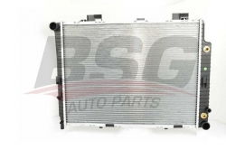 BSG 60520040 Su Radyatörü