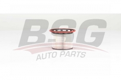 BSG 90130036 Yakıt Filtresi