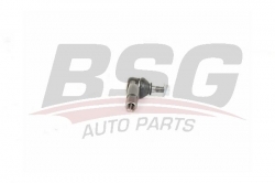 BSG 90310152 Rot Başı Sağ