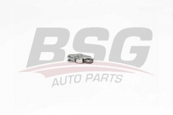 BSG 40122029 Pıyano Tusu