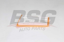 BSG 60135022 Hava Filtresi