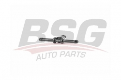BSG 90995031 Su (T) Borusu