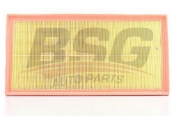BSG 90135014 Hava Filtresi