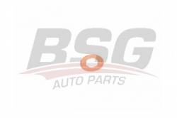 BSG 30995048 Enjektör Alt Pulu