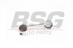 BSG 40310117 Viraj Askı Rotu Arka