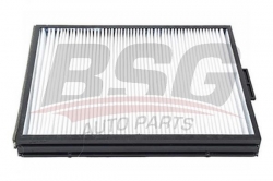 BSG 40145013 Polen Filtresi