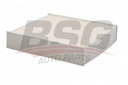 BSG 30145004 Polen Filtresi