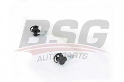 BSG 60725020 Yakıt Hortumu