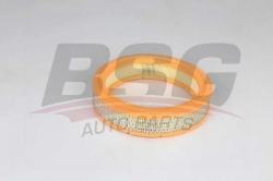 BSG 25135012 Hava Filtresi