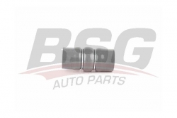 BSG 70720201 Turbo Hortumu