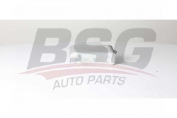 BSG 15506026 Yağ Radyatörü