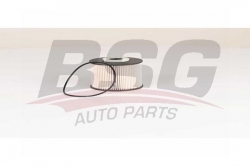 BSG 30130016 Yakıt Filtresi