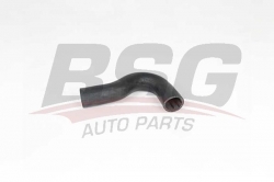 BSG 65700352 Turbo Hortumu