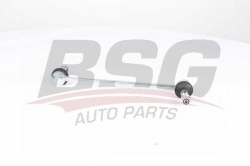 BSG 25310047 Viraj Askı Rotu Ön