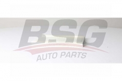 BSG 25145004 Polen Filtresi