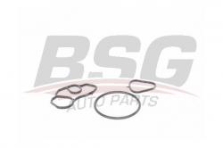 BSG 70116001 Yağ Filtresi Conta Takımı