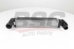 BSG 15535004 Turbo Radyatörü