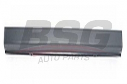 BSG 70920005 Tampon Orta