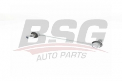 BSG 75310076 Viraj Askı Rotu Ön
