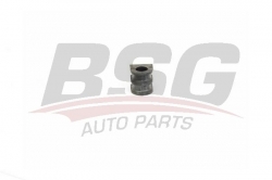 BSG 75705037 Viraj Demir Lastiği Ön