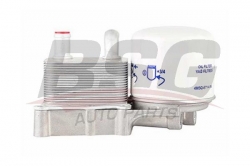 BSG 30506002 Yağ Soğutucu