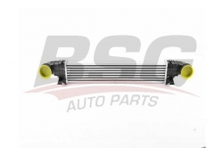 BSG 60535021 Turbo Radyatörü