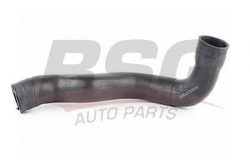 BSG 60720011 Turbo Hortumu