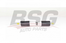 BSG 90130022 Yakıt Filtresi