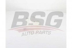 BSG 65550015 Radyatör Yedek Su Deposu