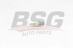 BSG 75840001 Yağ Basınç Müşürü