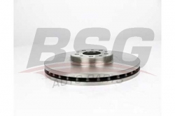 BSG 25210005 Fren Diski Ön