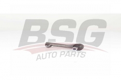 BSG 75310005 Rot Başı Sol