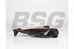 BSG 75315005 Salıncak Ön Sağ