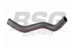BSG 40720021 Radyatör Hortumu Alt