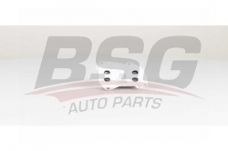 BSG 15506025 Yağ Radyatörü