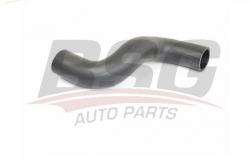 BSG 15720101 Turbo Hortumu