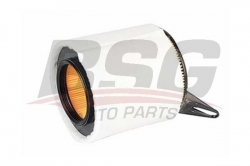 BSG 15135010 Hava Filtresi