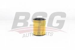 BSG 30140010 Yağ Filtresi