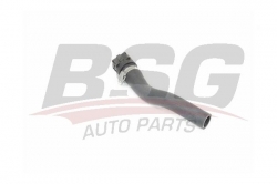 BSG 25720052 Kalorifer Hortumu