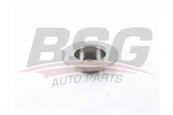 BSG 63210002 Fren Diski Ön