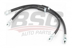 BSG 90730011 Fren Hortumu Ön