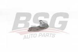 BSG 25310022 Rotil Alt