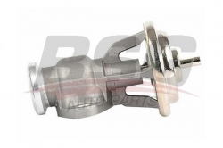 BSG 60836001 Egr Ventili