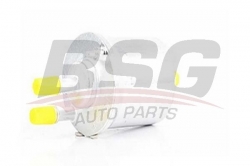 BSG 90130006 Yakıt Filtresi