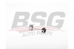 BSG 25310044 Viraj Askı Rotu Ön
