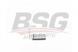 BSG 40530019 Kalorifer Radyatörü