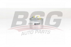 BSG 60130012 Yakıt Filtresi