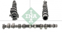 INA 428017510 Eksantrik Mili Emme