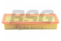 BSG 70135006 Hava Filtresi